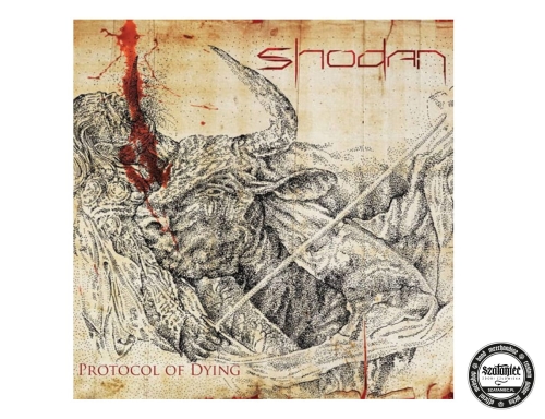 shodan_protocol2 cd.jpg